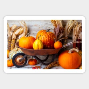 Old Rusty Wheelbarrow Full Of Pumpkins Sticker